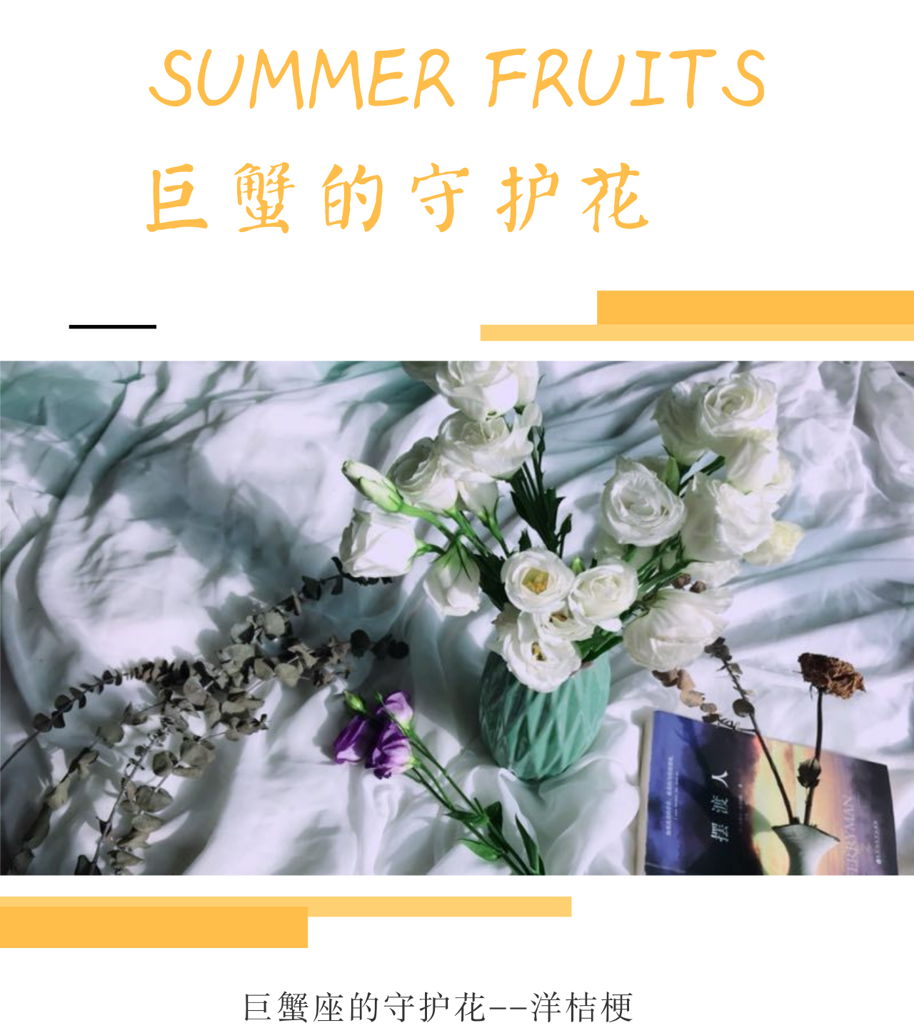 洋桔梗_01.jpg