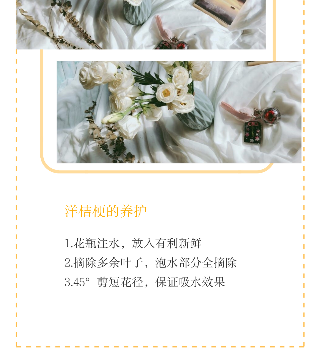 洋桔梗_04.jpg