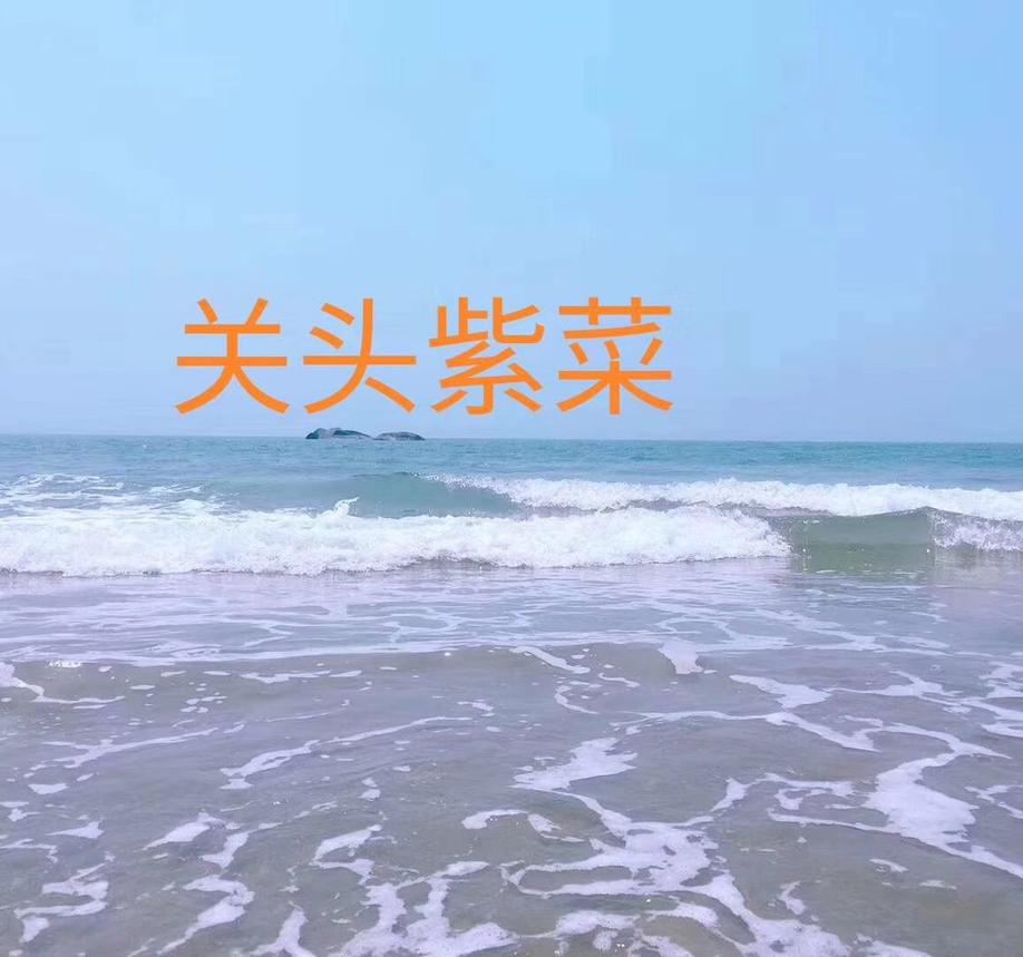 龙海隆教湾头水紫菜 礼盒装 