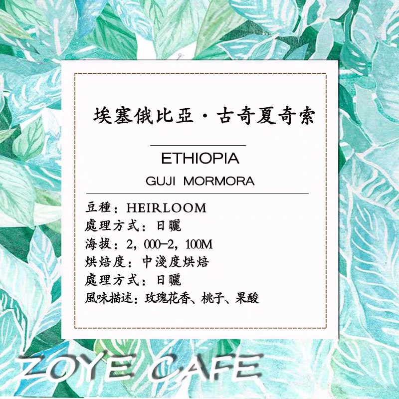 埃塞俄比亚 古奇夏奇索  咖啡豆
